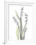 Lily of the Valley-Albert Koetsier-Framed Premium Giclee Print