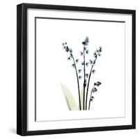 Lily of the Valley-Albert Koetsier-Framed Premium Giclee Print