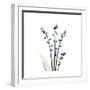 Lily of the Valley-Albert Koetsier-Framed Premium Giclee Print