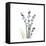 Lily of the Valley-Albert Koetsier-Framed Stretched Canvas