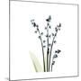 Lily of the Valley-Albert Koetsier-Mounted Premium Giclee Print