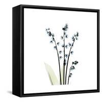 Lily of the Valley-Albert Koetsier-Framed Stretched Canvas