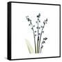 Lily of the Valley-Albert Koetsier-Framed Stretched Canvas