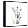 Lily of the Valley-Albert Koetsier-Framed Stretched Canvas