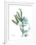 Lily of the Valley-Albert Koetsier-Framed Premium Giclee Print