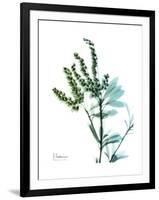 Lily of the Valley-Albert Koetsier-Framed Premium Giclee Print