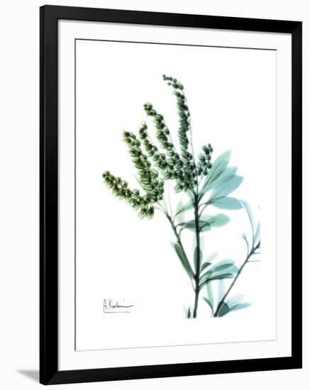 Lily of the Valley-Albert Koetsier-Framed Premium Giclee Print