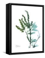 Lily of the Valley-Albert Koetsier-Framed Stretched Canvas