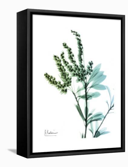 Lily of the Valley-Albert Koetsier-Framed Stretched Canvas