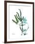 Lily of the Valley-Albert Koetsier-Framed Premium Giclee Print