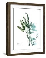 Lily of the Valley-Albert Koetsier-Framed Premium Giclee Print