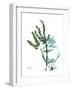 Lily of the Valley-Albert Koetsier-Framed Premium Giclee Print