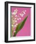 Lily of the valley-Ada Summer-Framed Photographic Print