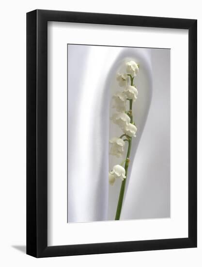 Lily of the Valley-Anna Miller-Framed Photographic Print