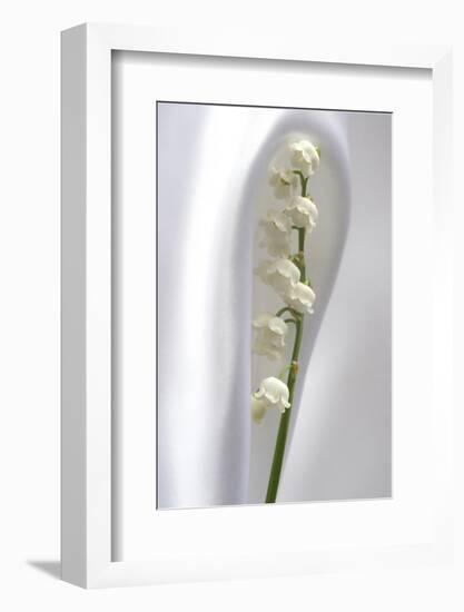 Lily of the Valley-Anna Miller-Framed Photographic Print