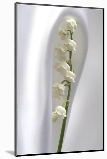 Lily of the Valley-Anna Miller-Mounted Photographic Print