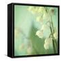 Lily of the Valley-Judy Stalus-Framed Stretched Canvas