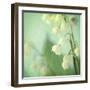 Lily of the Valley-Judy Stalus-Framed Photographic Print