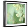 Lily of the Valley-Judy Stalus-Framed Photographic Print