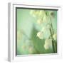 Lily of the Valley-Judy Stalus-Framed Photographic Print