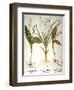 Lily-Of-The-Valley-Besler Basilius-Framed Premium Giclee Print