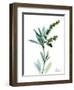 Lily of the Valley-Albert Koetsier-Framed Premium Giclee Print