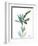 Lily of the Valley-Albert Koetsier-Framed Premium Giclee Print