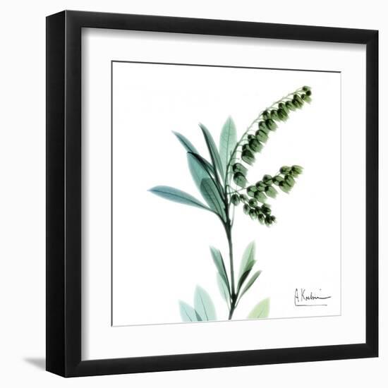 Lily of the Valley-Albert Koetsier-Framed Art Print