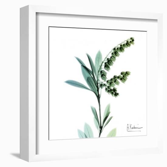 Lily of the Valley-Albert Koetsier-Framed Art Print