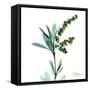 Lily of the Valley-Albert Koetsier-Framed Stretched Canvas