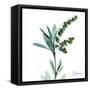 Lily of the Valley-Albert Koetsier-Framed Stretched Canvas