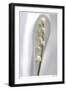 Lily of the Valley-Anna Miller-Framed Photographic Print