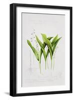 Lily of the valley-Sally Crosthwaite-Framed Giclee Print