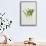 Lily of the valley-Sally Crosthwaite-Framed Stretched Canvas displayed on a wall