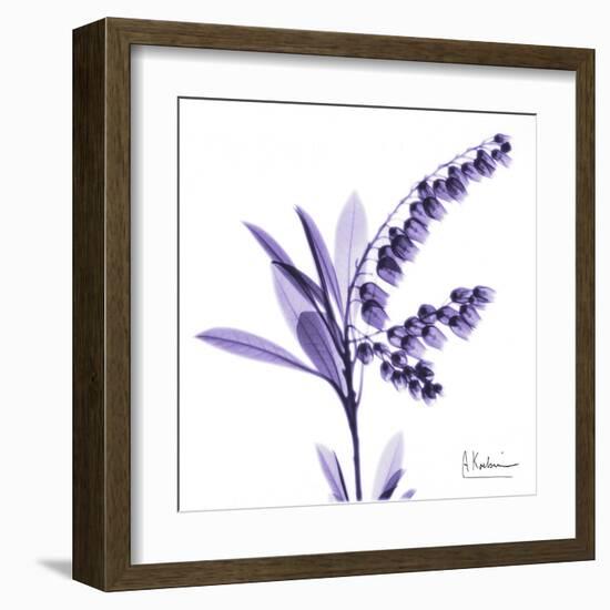 Lily of the Valley-Albert Koetsier-Framed Art Print