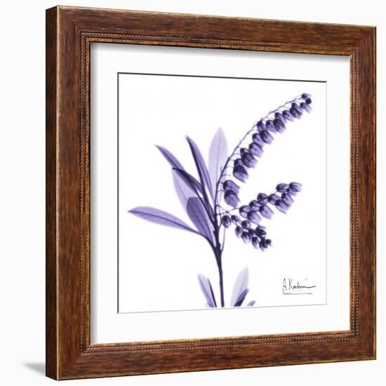 Lily of the Valley-Albert Koetsier-Framed Art Print