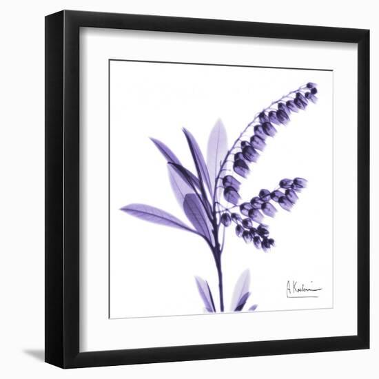 Lily of the Valley-Albert Koetsier-Framed Art Print