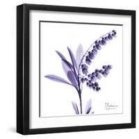 Lily of the Valley-Albert Koetsier-Framed Art Print