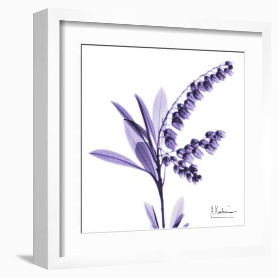 Lily of the Valley-Albert Koetsier-Framed Art Print