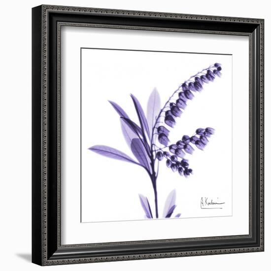 Lily of the Valley-Albert Koetsier-Framed Art Print