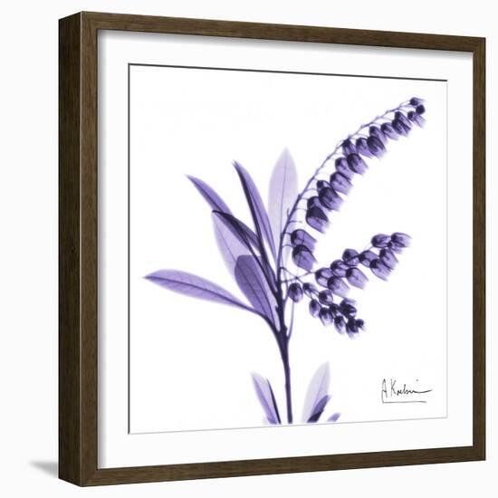 Lily of the Valley-Albert Koetsier-Framed Art Print