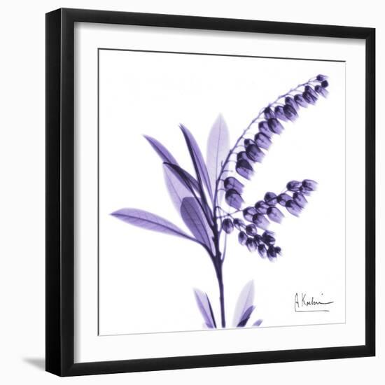 Lily of the Valley-Albert Koetsier-Framed Art Print