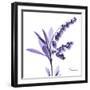 Lily of the Valley-Albert Koetsier-Framed Art Print