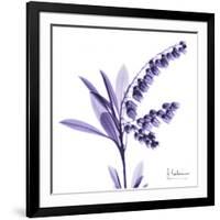 Lily of the Valley-Albert Koetsier-Framed Art Print