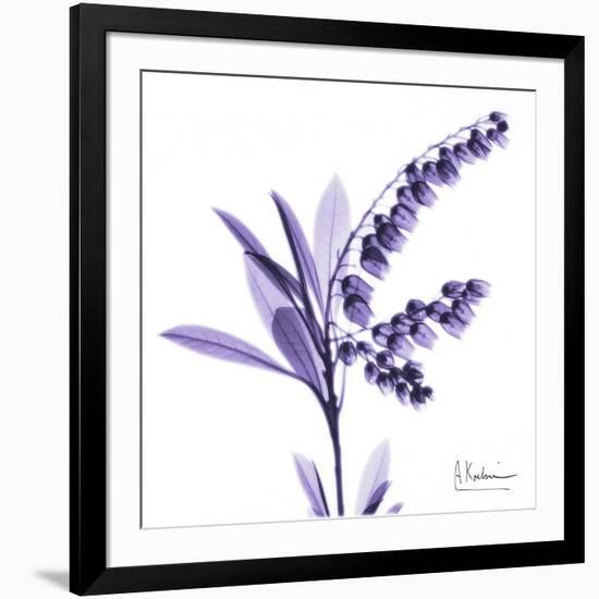 Lily of the Valley-Albert Koetsier-Framed Art Print