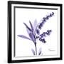 Lily of the Valley-Albert Koetsier-Framed Art Print