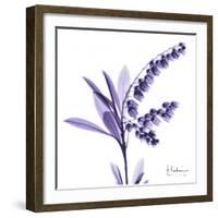 Lily of the Valley-Albert Koetsier-Framed Premium Giclee Print