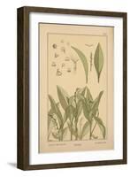 Lily of the Valley-null-Framed Giclee Print