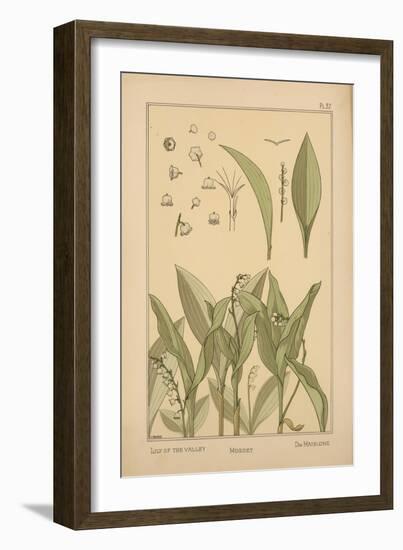 Lily of the Valley-null-Framed Giclee Print