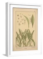 Lily of the Valley-null-Framed Giclee Print